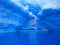 Iceberg